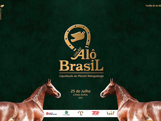 haras_alo haras_alo