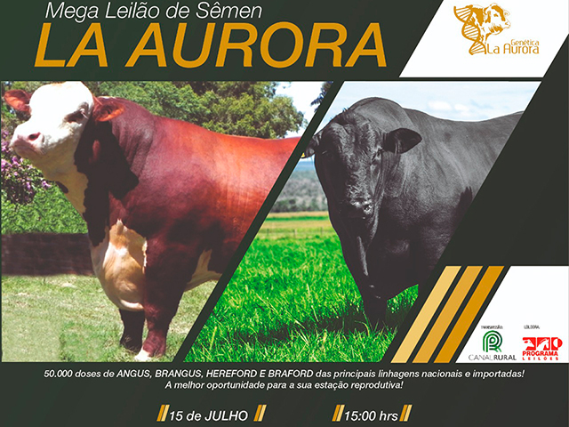 laaurora laaurora