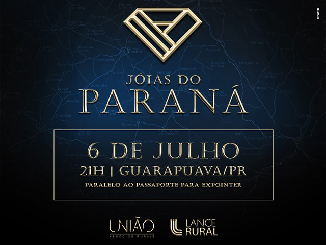 leilao_06_07 leilao_06_07