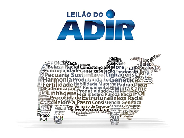 ENCONTRO COM O GRUPO ADIR ON-LINE - Central Leil�es