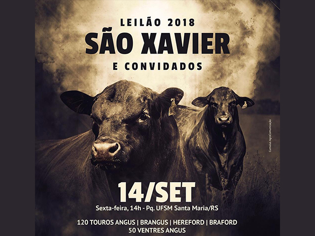 Leilão no RS abre transmissões do Lance Rural em 2018