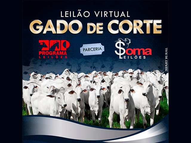 corte_21