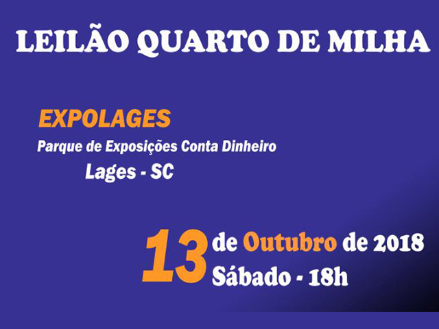 Leilão Quarto de Milha_640 Leilão Quarto de Milha_640