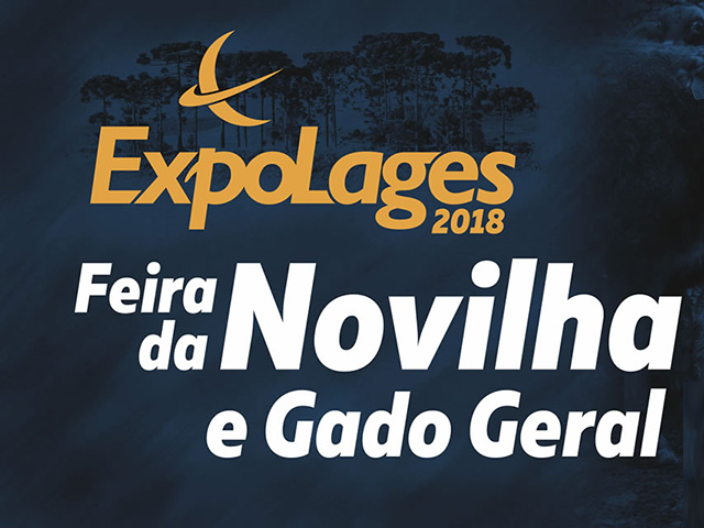 OUTDOOR_FEIRA-DA-NOVILHA_r1_c123 OUTDOOR_FEIRA-DA-NOVILHA_r1_c123