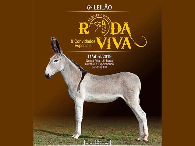 11-04rodaok 11-04rodaok