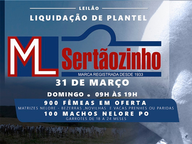 31-03ok 31-03ok