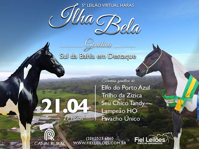 5_leilao_virtual_ilha_bela Leilão