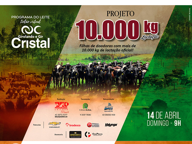 LEILÃO VIRTUAL GIROLANDO CRISTAL 640x480