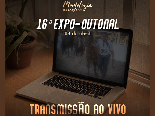 expo2 expo2