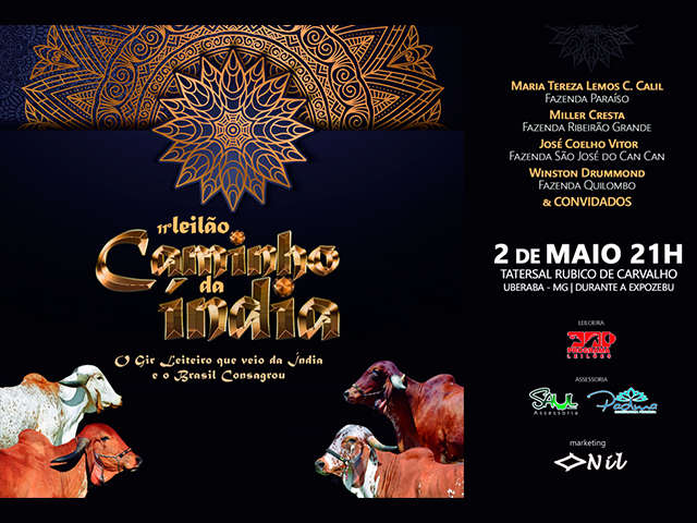 11_leilao_caminho_da_india 11_leilao_caminho_da_india