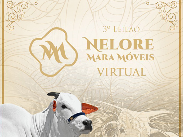 CR_20.05_N nelore mara móveis