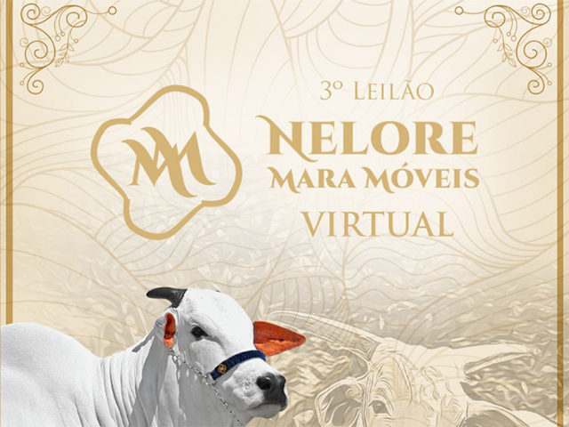 nelore mara móveis