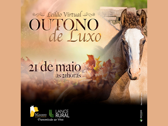 LR_21.05_N outono de luxo