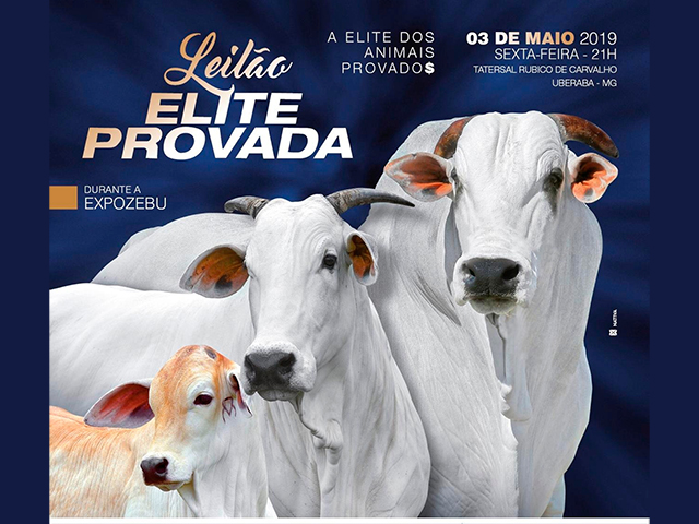 leilao_elite_provada leilao_elite_provada