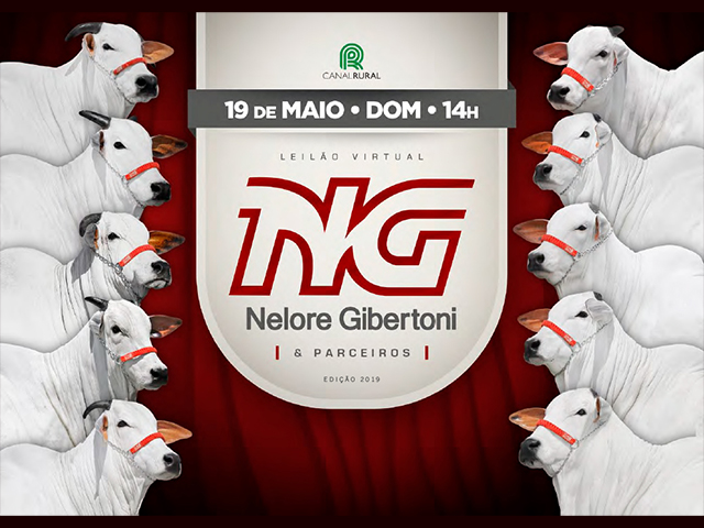 neloregibertoni neloregibertoni