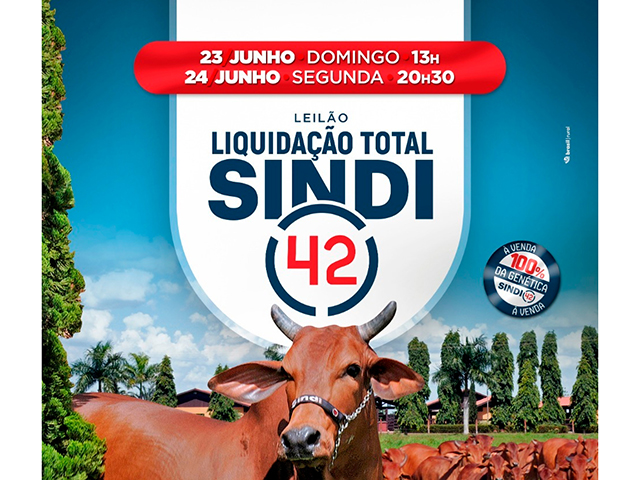 23.06 - TARDE - 24.06 NOITE 23.06 - TARDE - 24.06 NOITE