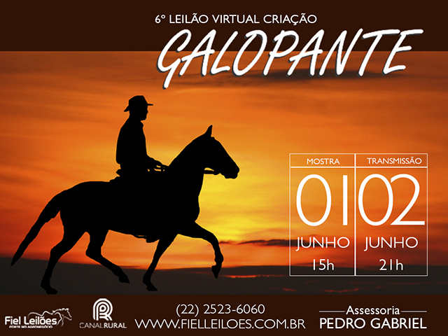 CR_02.06_N criação galopante