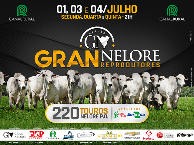 gran nelore