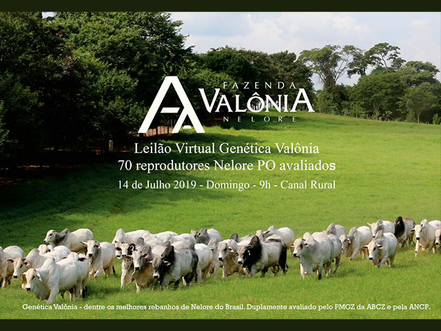 CR_14.07_M Valônia