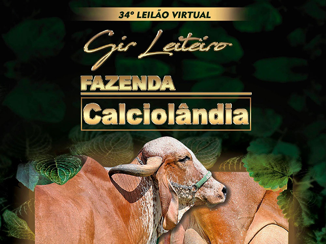 CR_18.07_N Calciolândia