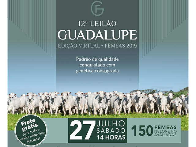 CR_27.07_T CR_27.07_T