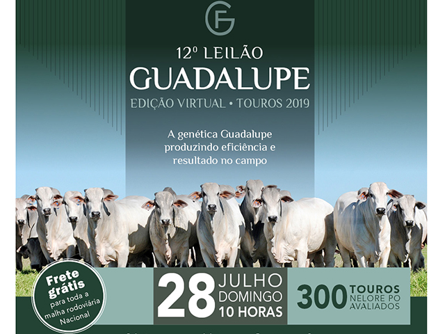 CR_28.07_M CR_28.07_M