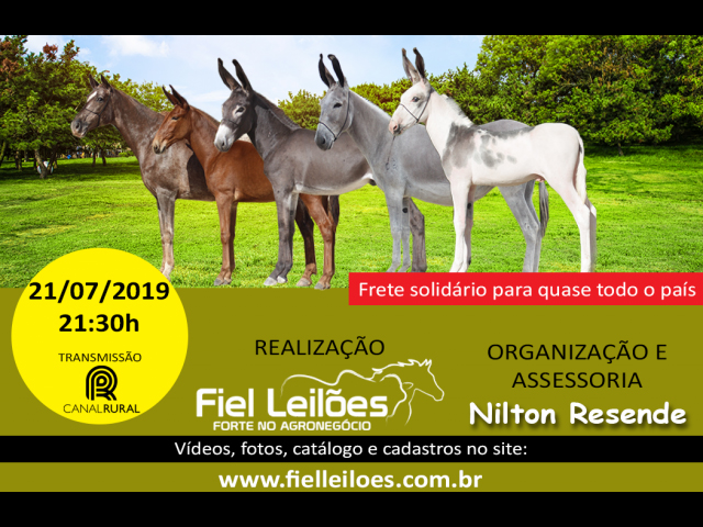 LEILAO_FIEL_2106-640x480 LEILAO_FIEL_2106-640x480