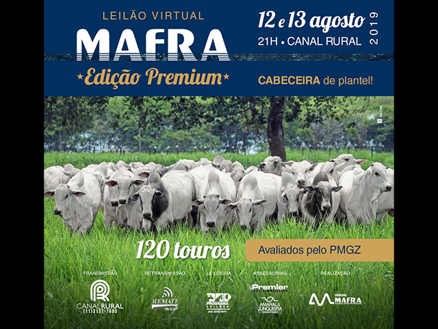 12e13MAFRA 12e13MAFRA
