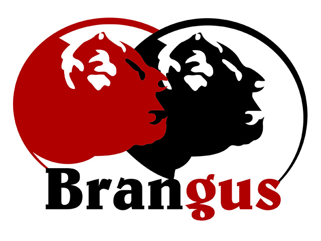 Logo - Associação de Brangus - V1.2