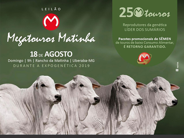CR_18.08_M CR_18.08_M