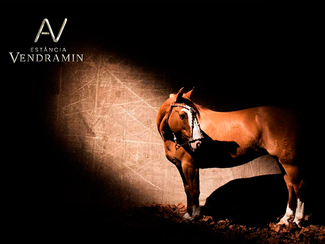 eSTANCIA 2 640X480 eSTANCIA 2 640X480