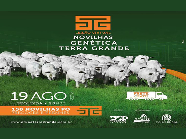 terragrande terragrande
