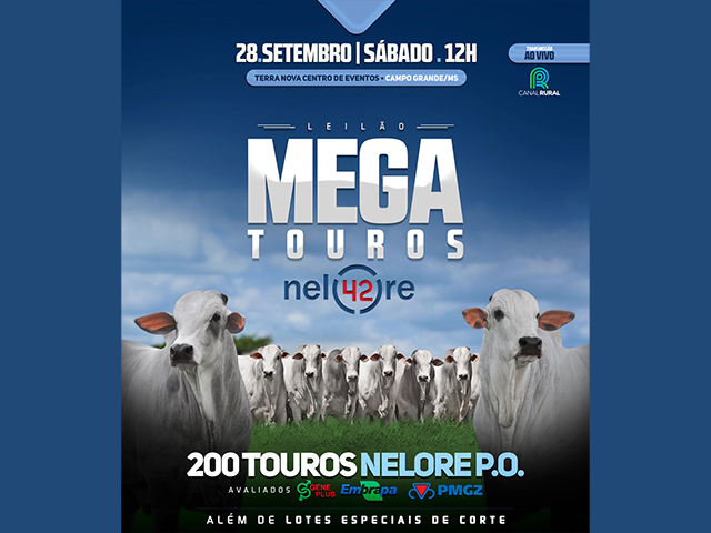 LEILAOTOUROS42 LEILAOTOUROS42