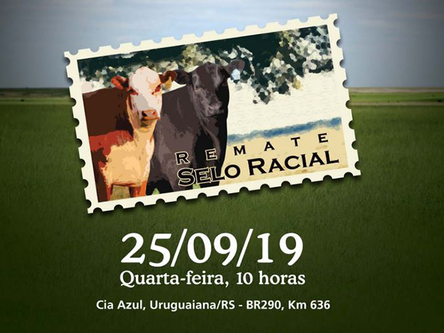 LEILÃOSELORACIAL LEILÃOSELORACIAL