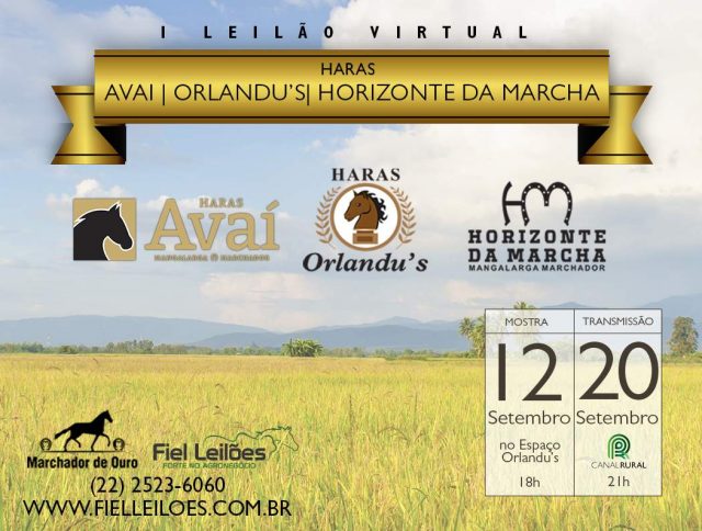 fiel-leilões-dia-20 fiel-leilões-dia-20