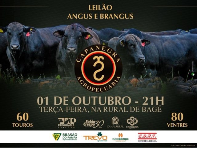97B863E42DE71CAF74B8565353049130 97B863E42DE71CAF74B8565353049130