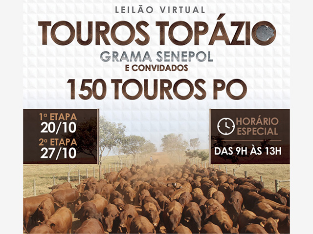 DIA 20_SENEPOL