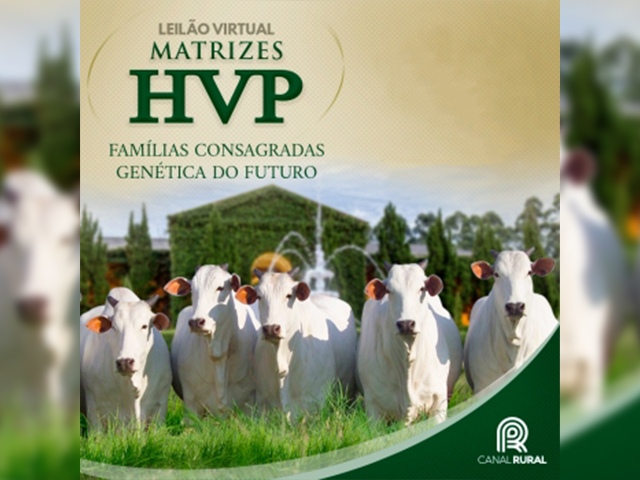 HVP HVP