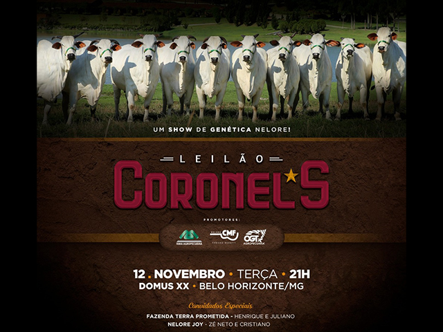 LEILAOCORONELS LEILAOCORONELS