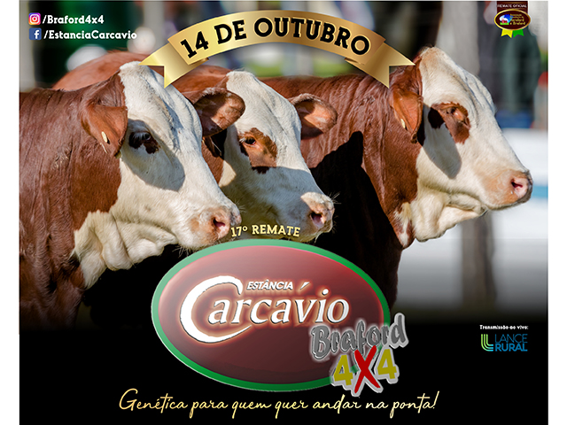 REMATE CARCÁVIO 2019 - 14 de outubro REMATE CARCÁVIO 2019 - 14 de outubro