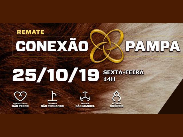 conexão do pampa