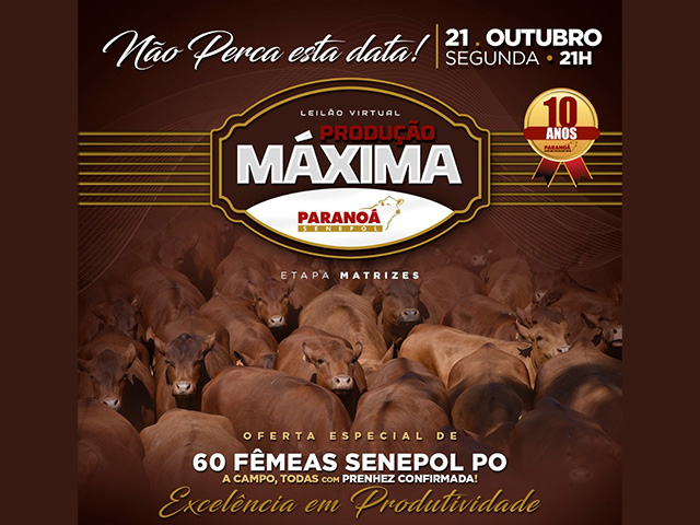 LIVE DIA DE CAMPO VIRTUAL REMATE CP PRODUÇÃO 