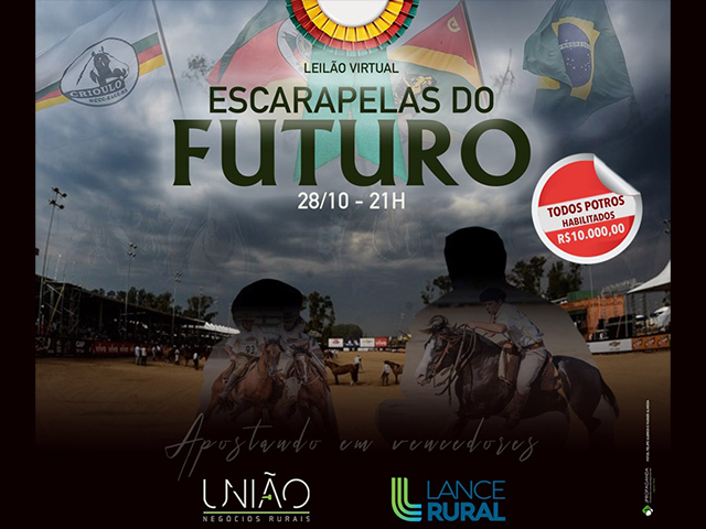 escarapelas escarapelas
