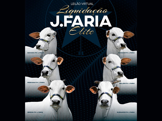 jfaria jfaria