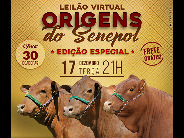 17.12 NOITE 17.12 NOITE