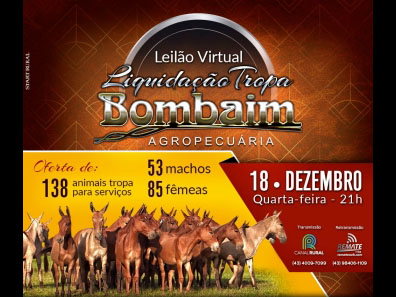 18.12 NOITE 18.12 NOITE
