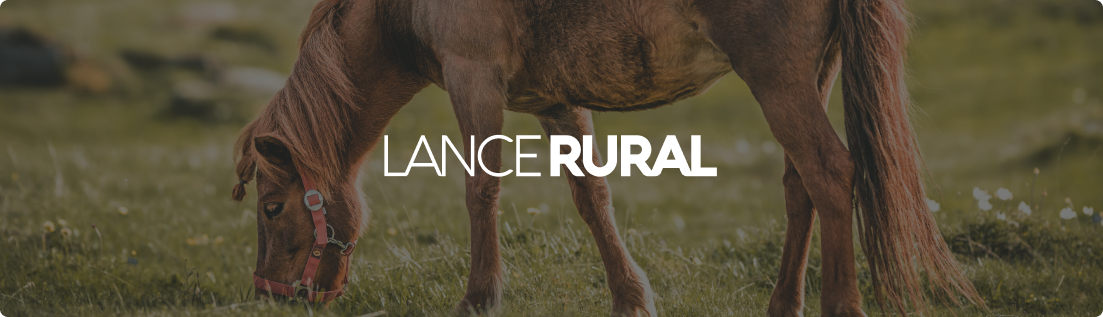 Ourofino em Campo: estreia nas telas do Canal Rural, Canal Criuador e Lance  Rural - Animal Health Expo Forum