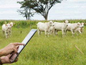 ASBIA reforça o uso da tecnologia para o futuro da pecuária