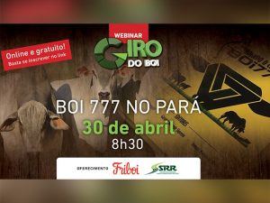 Webinar comenta os desafios de recria e terminação do Boi 777 no Pará