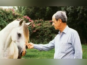Morre fundador da Associação dos Cavalos Árabes